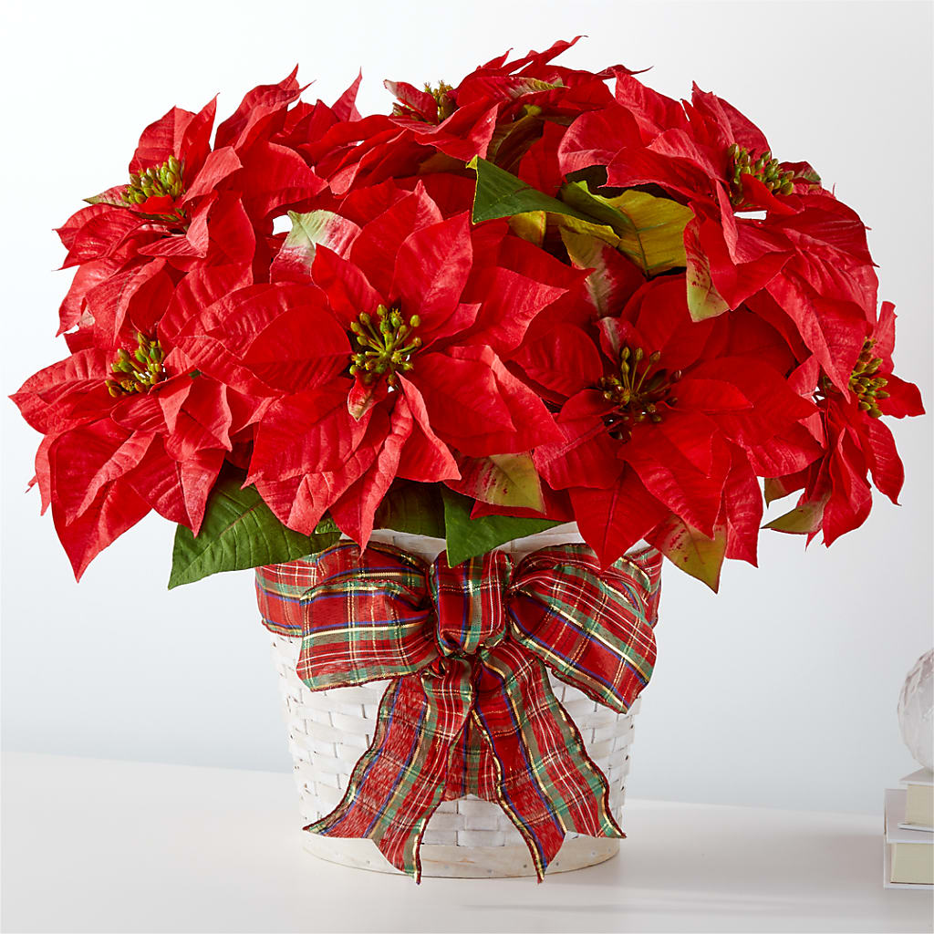 Happiest Holidays Poinsettia – Corner Flowers, Brooklyn NY
