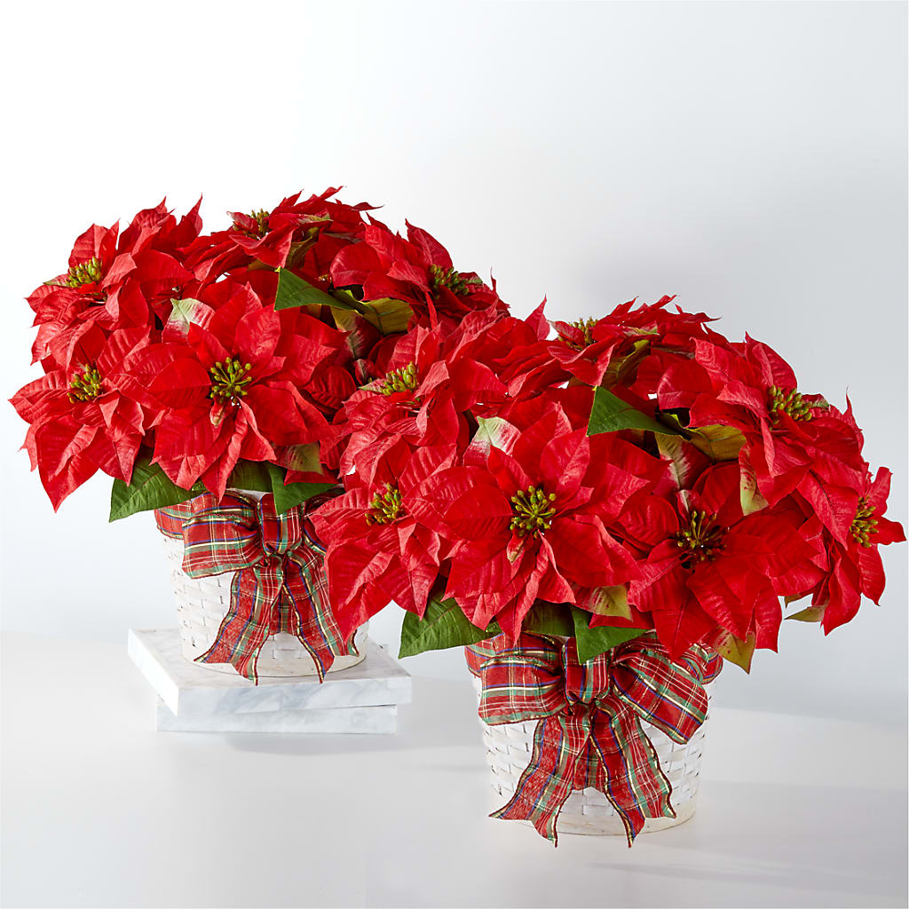 Happiest Holidays Poinsettia Bundle – Corner Flowers, Brooklyn NY