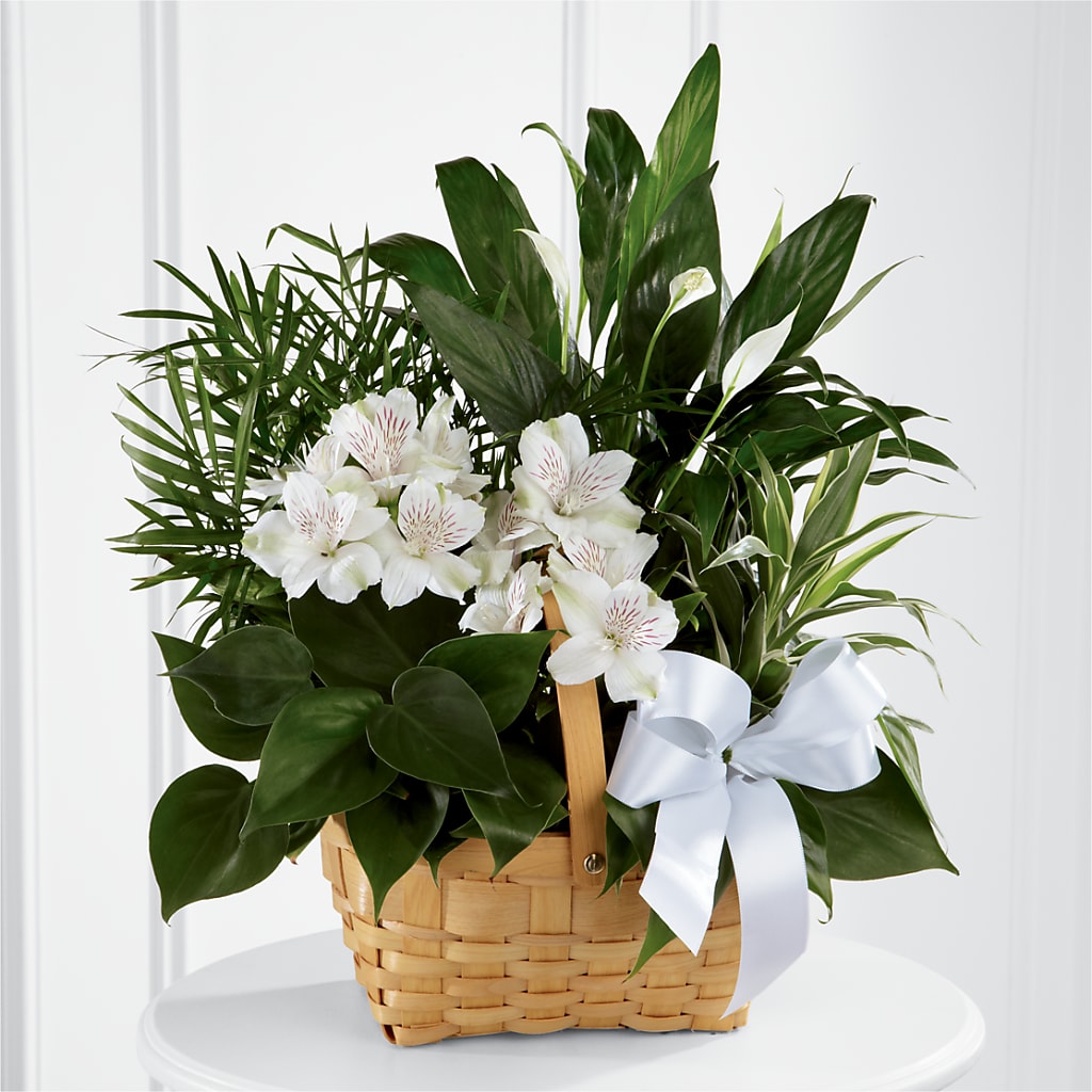 Peace & Serenity Dishgarden – Corner Flowers, Brooklyn NY