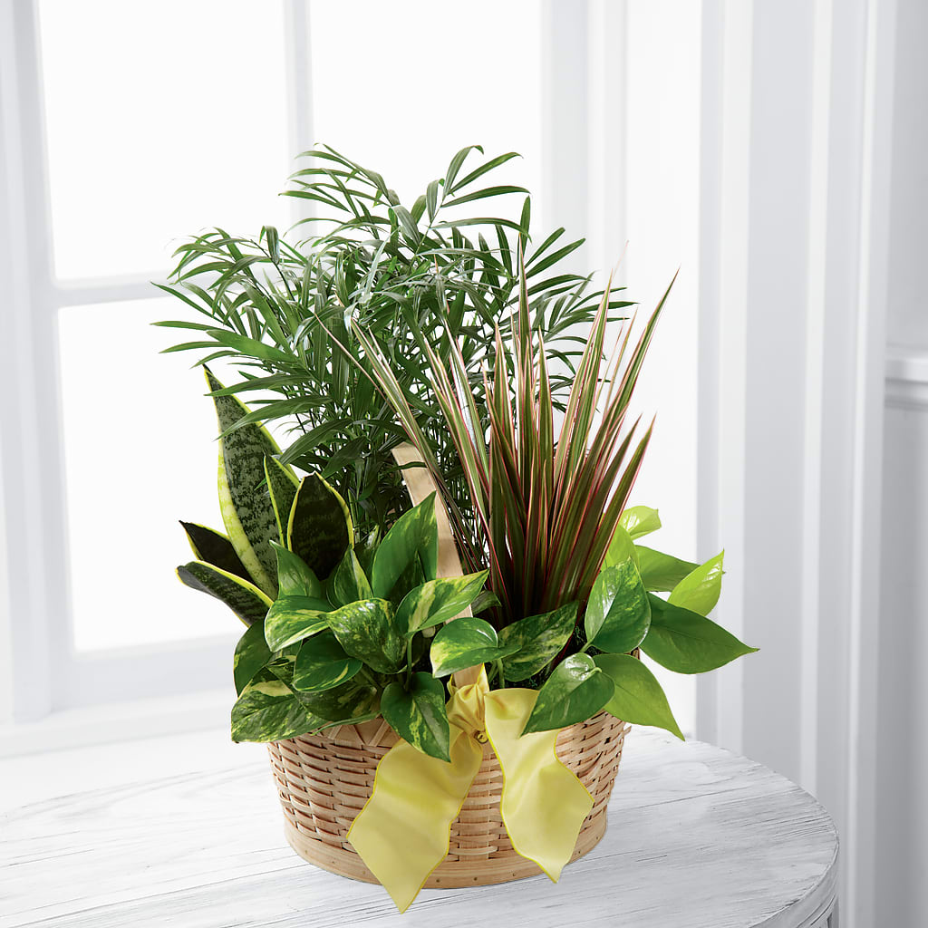 French Garden – Corner Flowers, Brooklyn NY