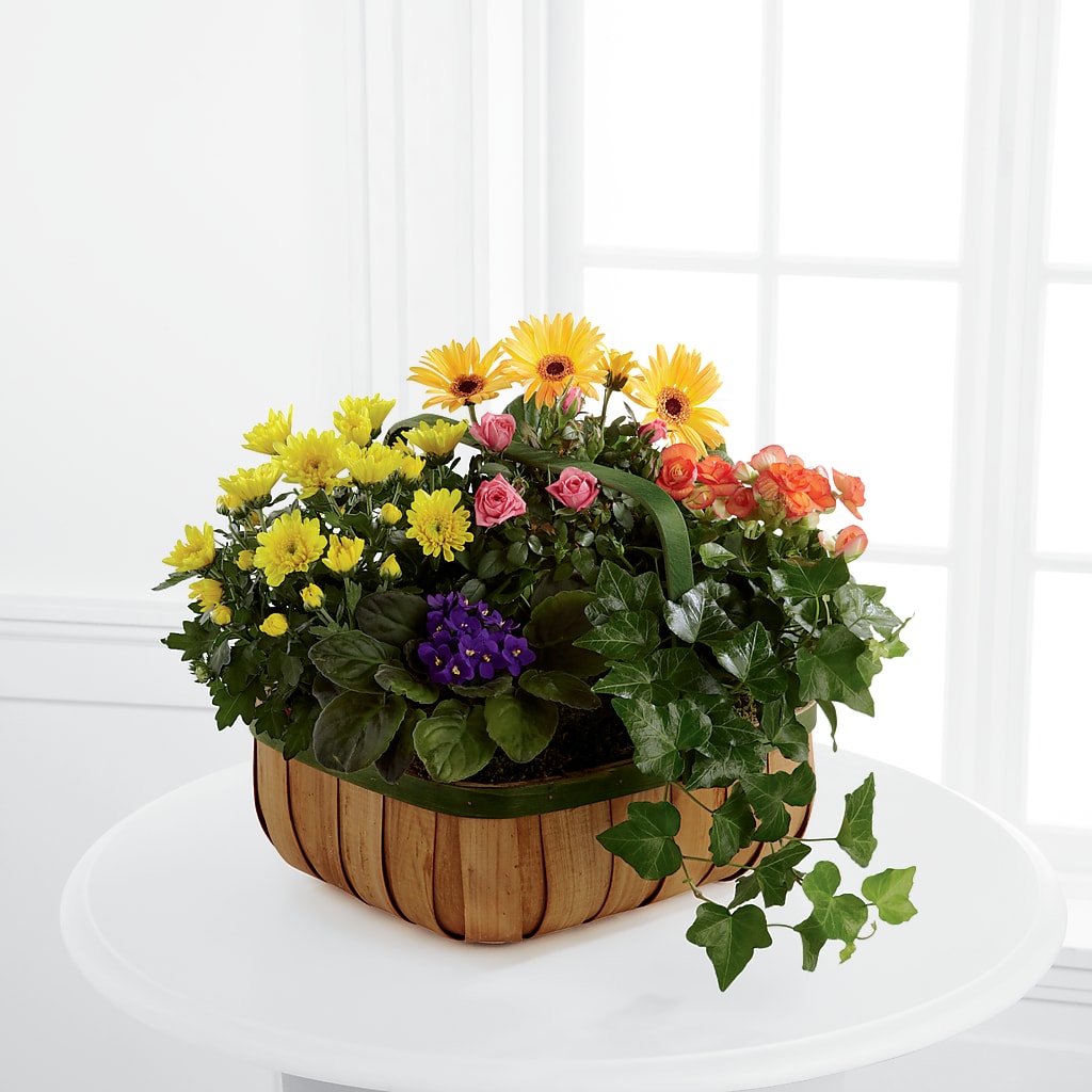 Gentle Blossoms Basket – Corner Flowers, Brooklyn NY