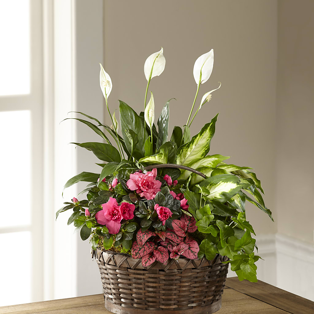 Dream in Pink Dishgarden – Corner Flowers, Brooklyn NY