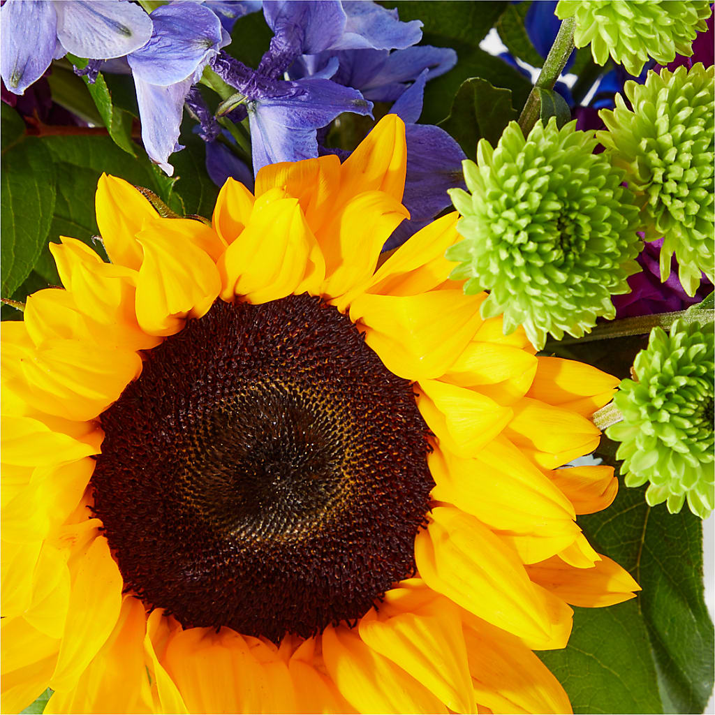 Catching Rays Bouquet – Corner Flowers, Brooklyn NY