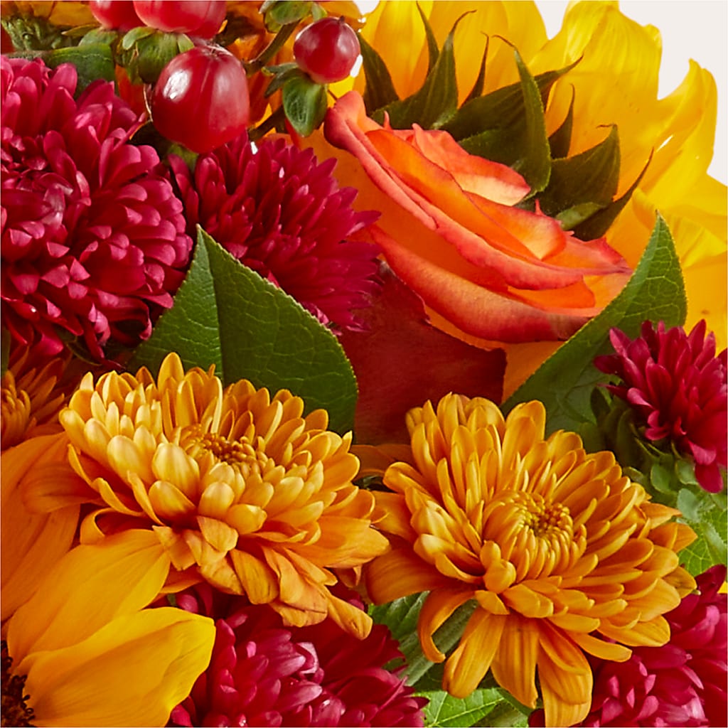Sweater Season - A Florist Original – Corner Flowers, Brooklyn NY