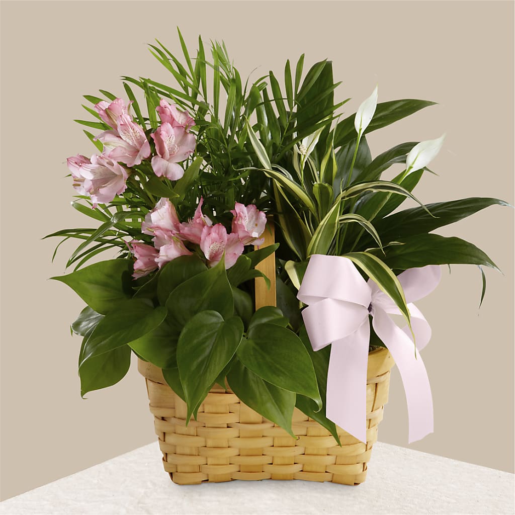Living Spirit Dishgarden – Corner Flowers, Brooklyn NY