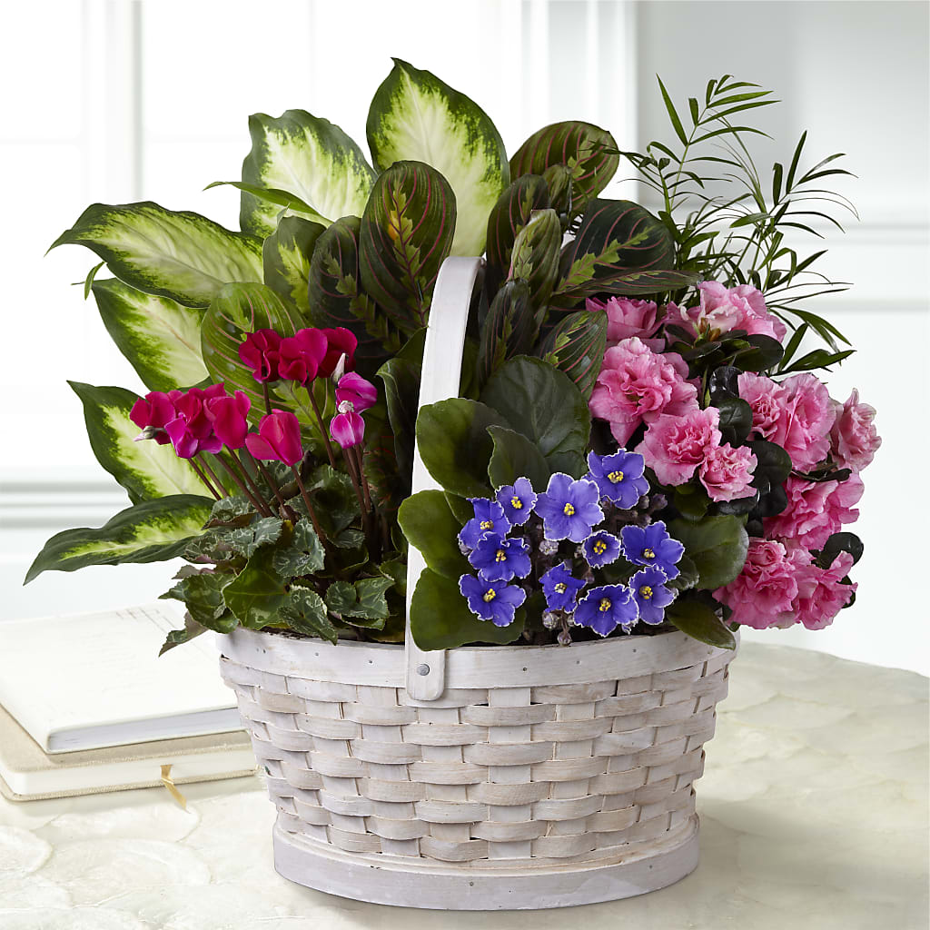Peaceful Garden Planter – Corner Flowers, Brooklyn NY