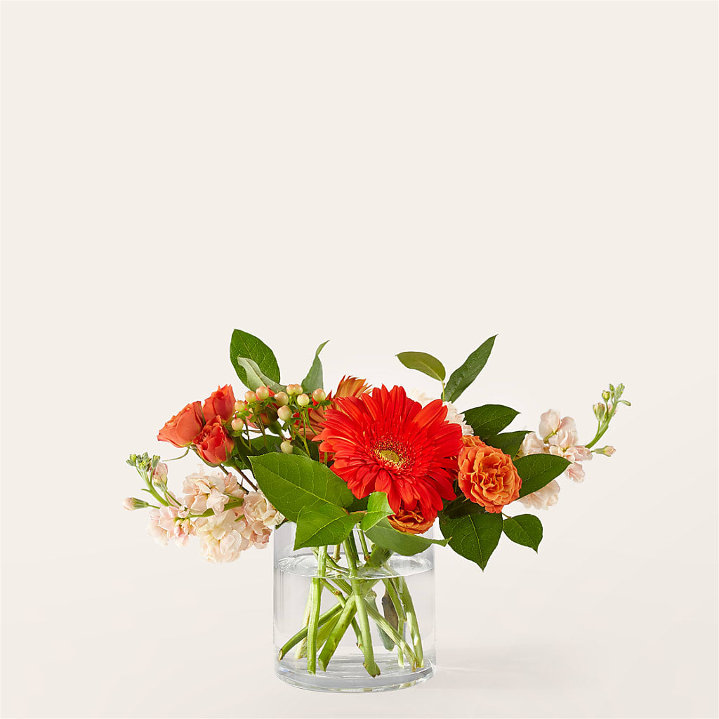 Paloma Please Bouquet – Corner Flowers, Brooklyn NY