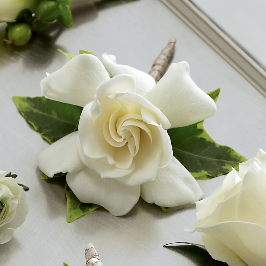 Gardenia Boutonniere – Corner Flowers, Brooklyn NY