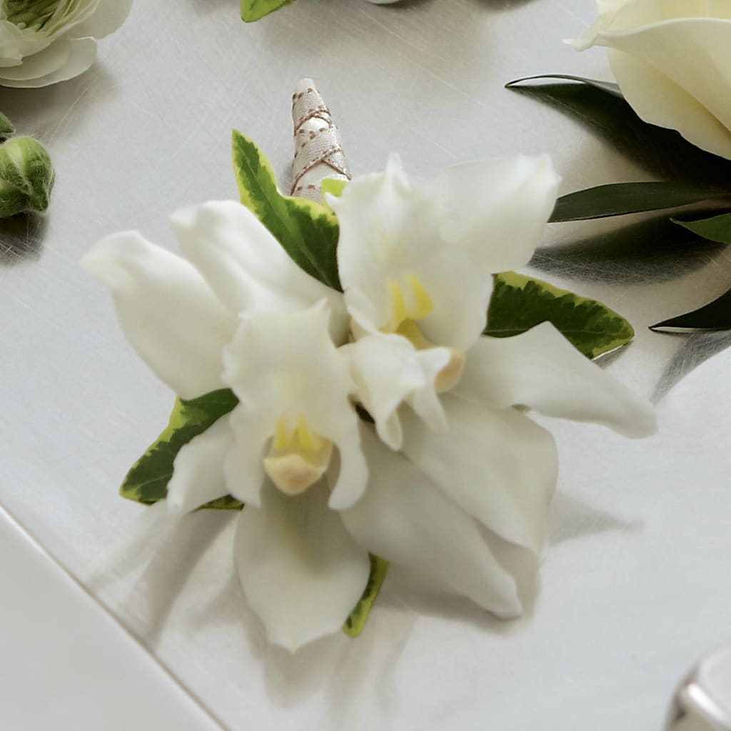 White Mini Cymbidium Boutonniere – Corner Flowers, Brooklyn NY