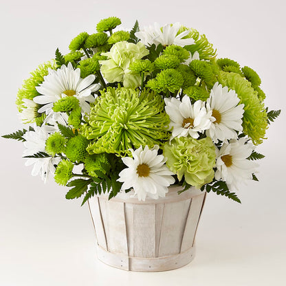 Lucky Charm Basket (Standard) –  Corner Flowers, Brooklyn NY