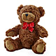 Adorable Plush Bear –  Corner Flowers, Brooklyn NY