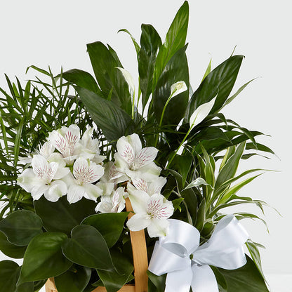 Peace & Serenity Dishgarden –  Corner Flowers, Brooklyn NY