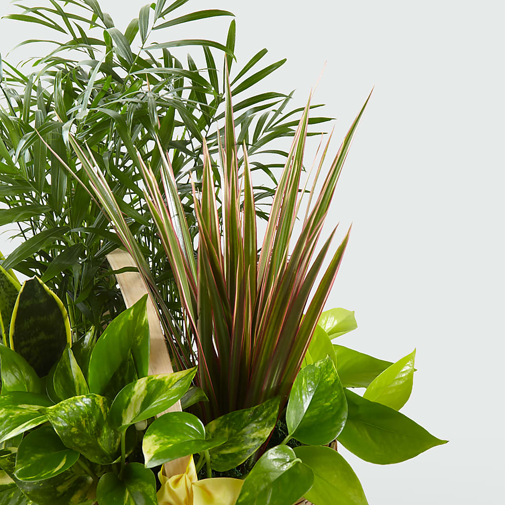 French Garden –  Corner Flowers, Brooklyn NY