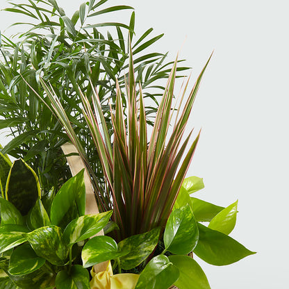 French Garden –  Corner Flowers, Brooklyn NY