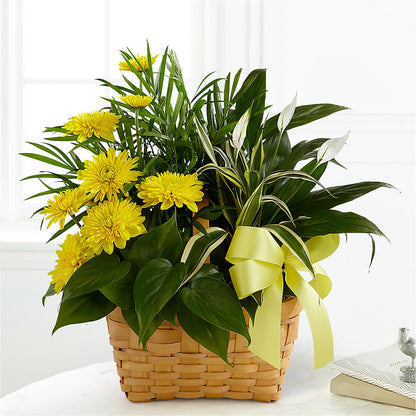 Loving Light Dishgarden –  Corner Flowers, Brooklyn NY