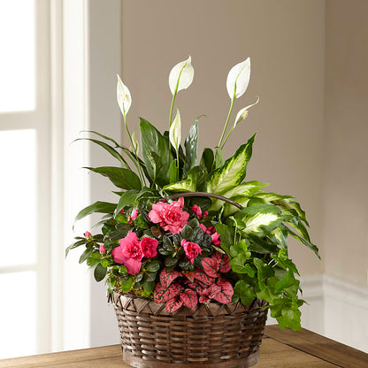 Dream in Pink Dishgarden –  Corner Flowers, Brooklyn NY
