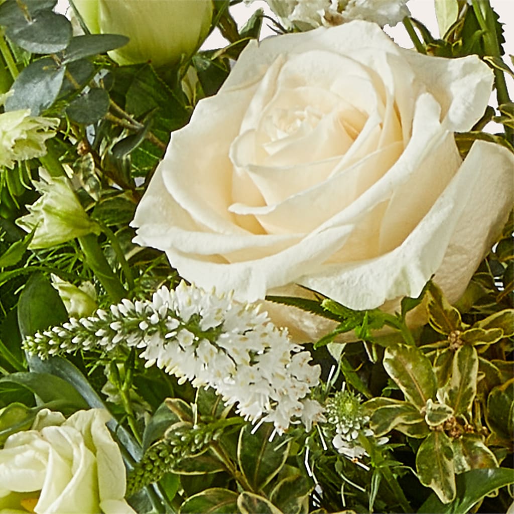 Cashmere Bouquet –  Corner Flowers, Brooklyn NY