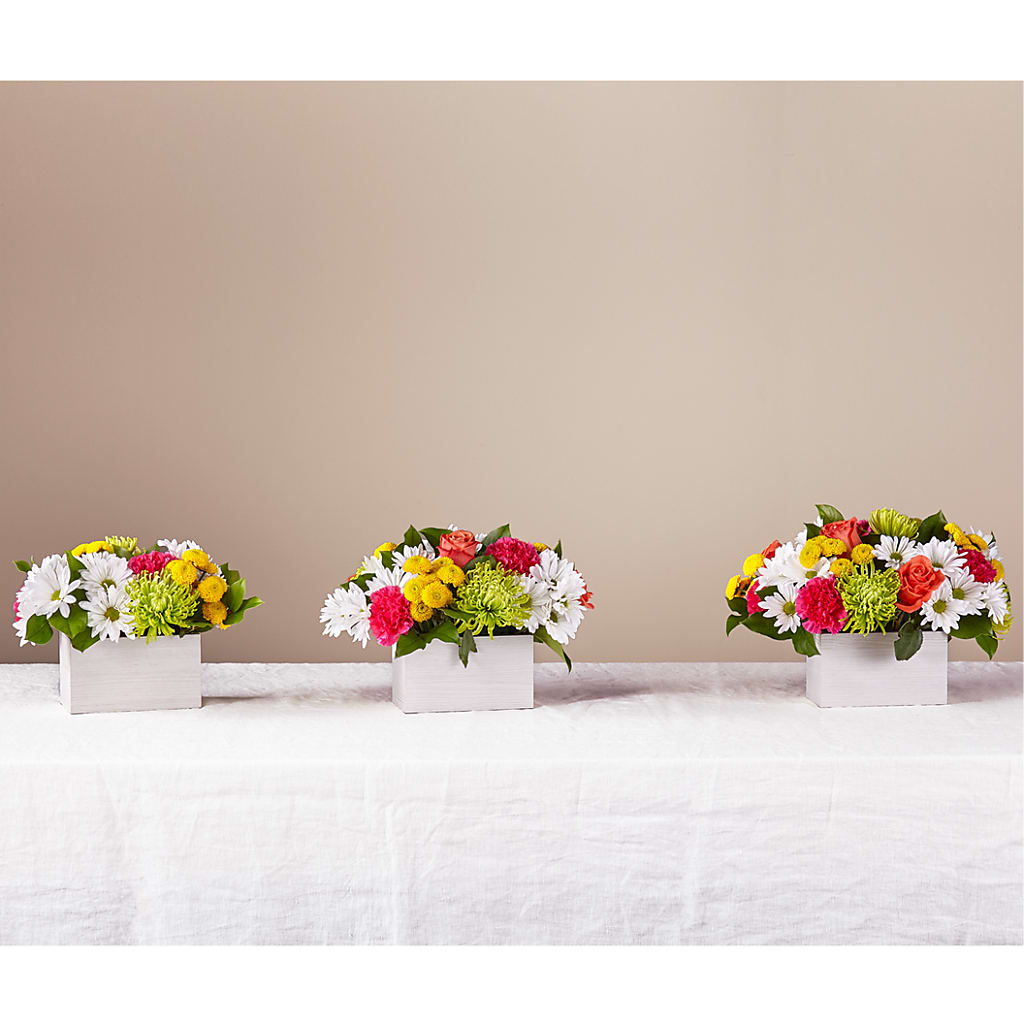 Sorbet Bouquet –  Corner Flowers, Brooklyn NY