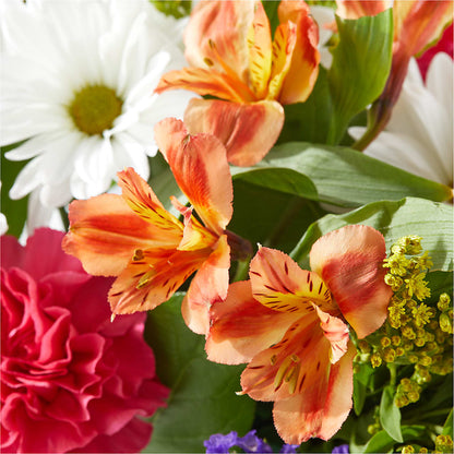 Oopsie Daisy Box Bouquet –  Corner Flowers, Brooklyn NY