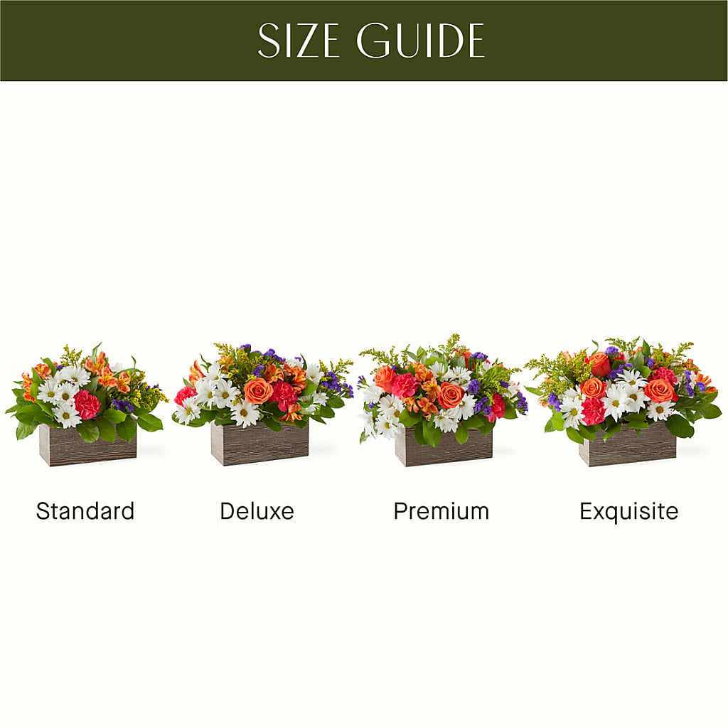 Oopsie Daisy Box Bouquet –  Corner Flowers, Brooklyn NY