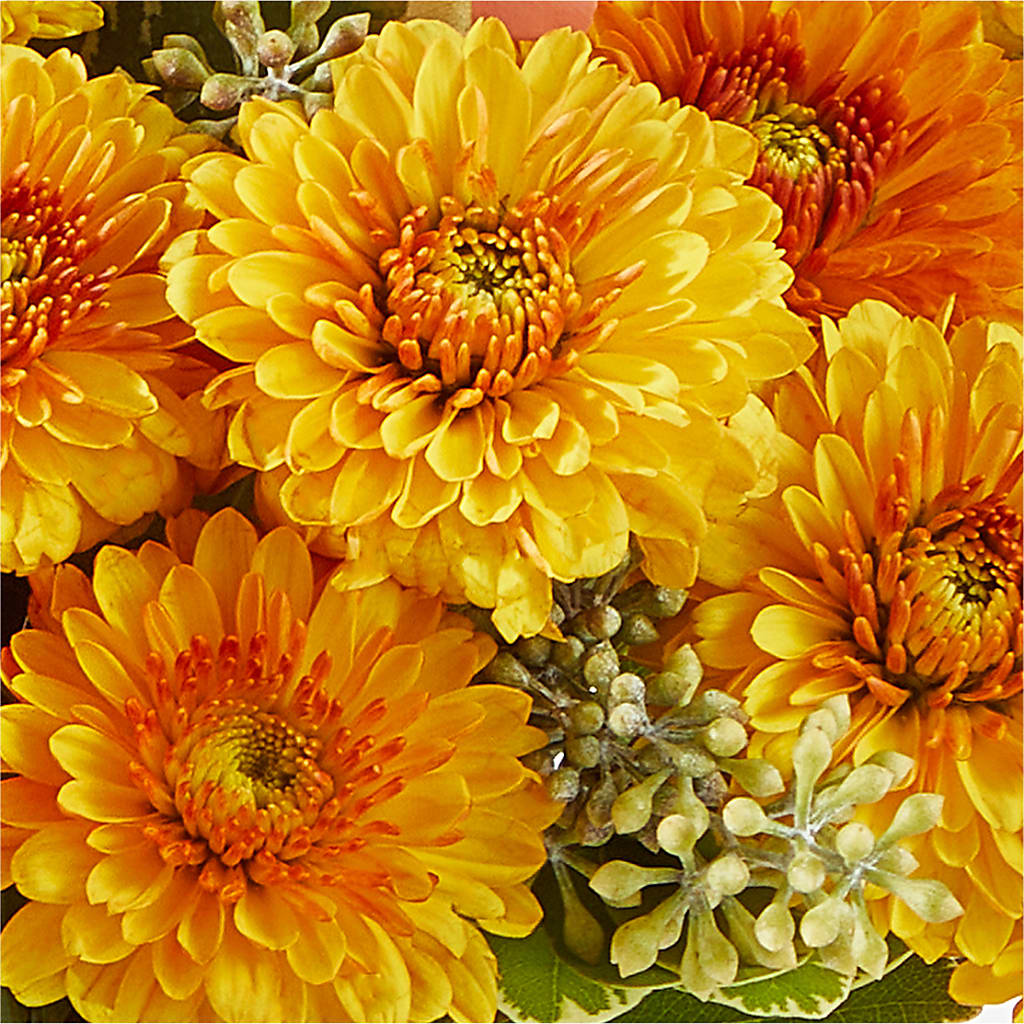 Peachy Pumpkin –  Corner Flowers, Brooklyn NY