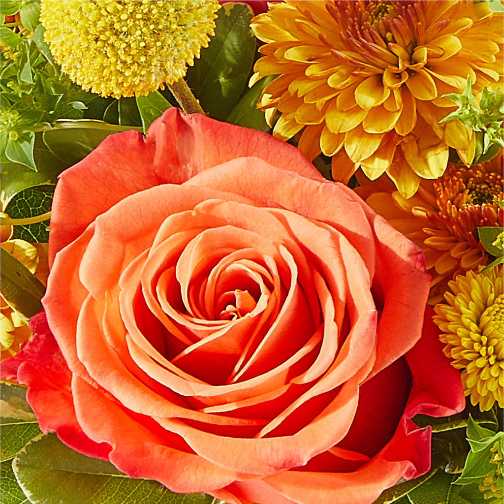 Gourdgeous Pumpkin –  Corner Flowers, Brooklyn NY