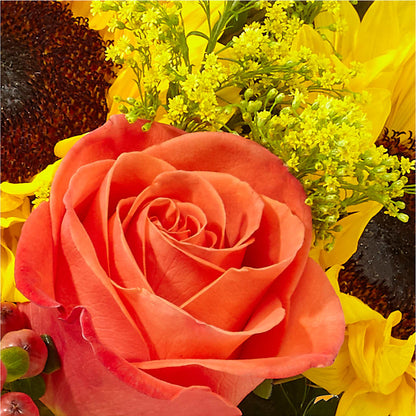Pick of the Patch Pumpkin Bouquet –  Corner Flowers, Brooklyn NY