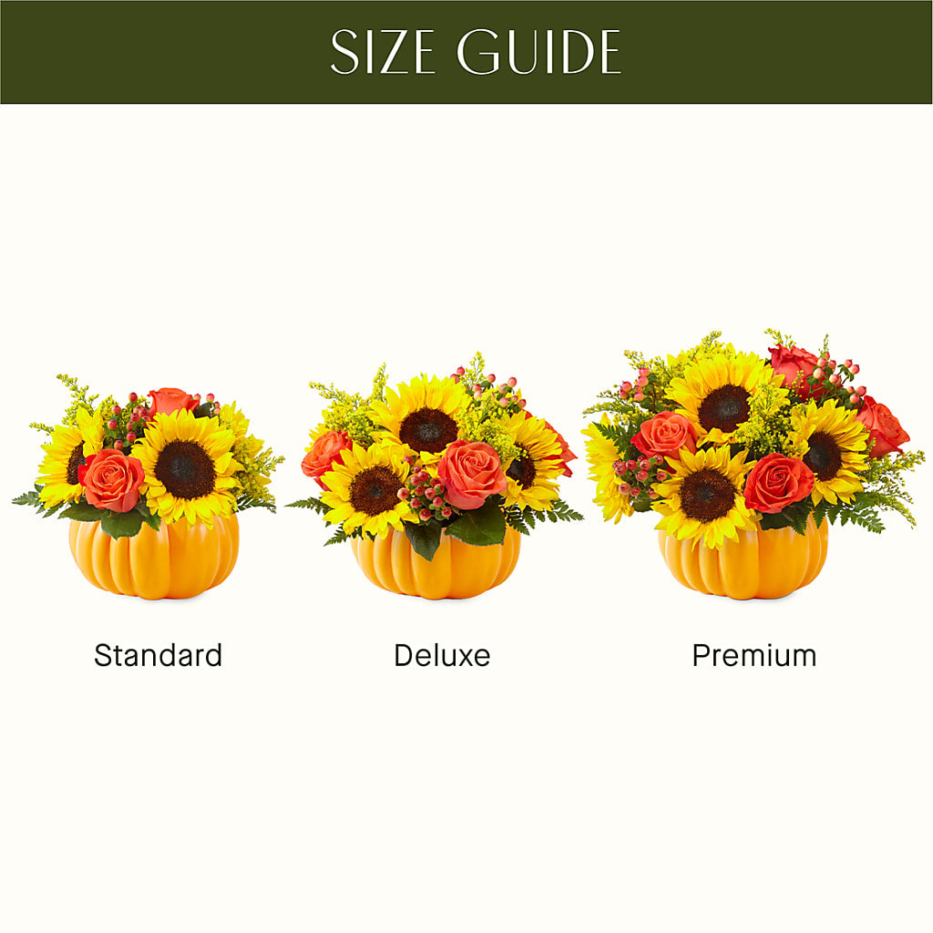 Pick of the Patch Pumpkin Bouquet –  Corner Flowers, Brooklyn NY