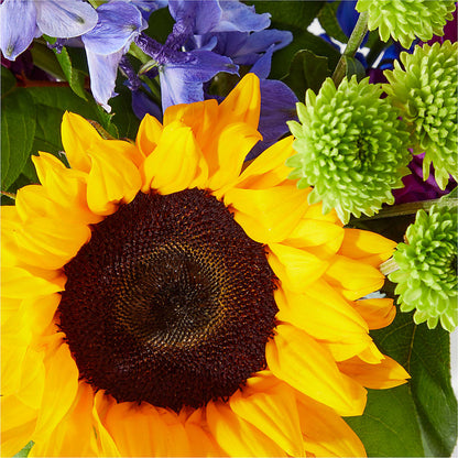 Catching Rays Bouquet –  Corner Flowers, Brooklyn NY