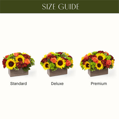 Happy Harvest Garden –  Corner Flowers, Brooklyn NY