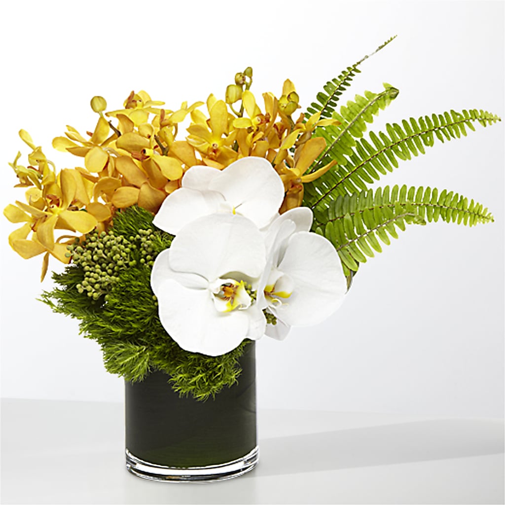 The Tropics –  Corner Flowers, Brooklyn NY