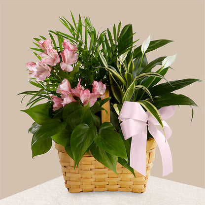 Living Spirit Dishgarden –  Corner Flowers, Brooklyn NY