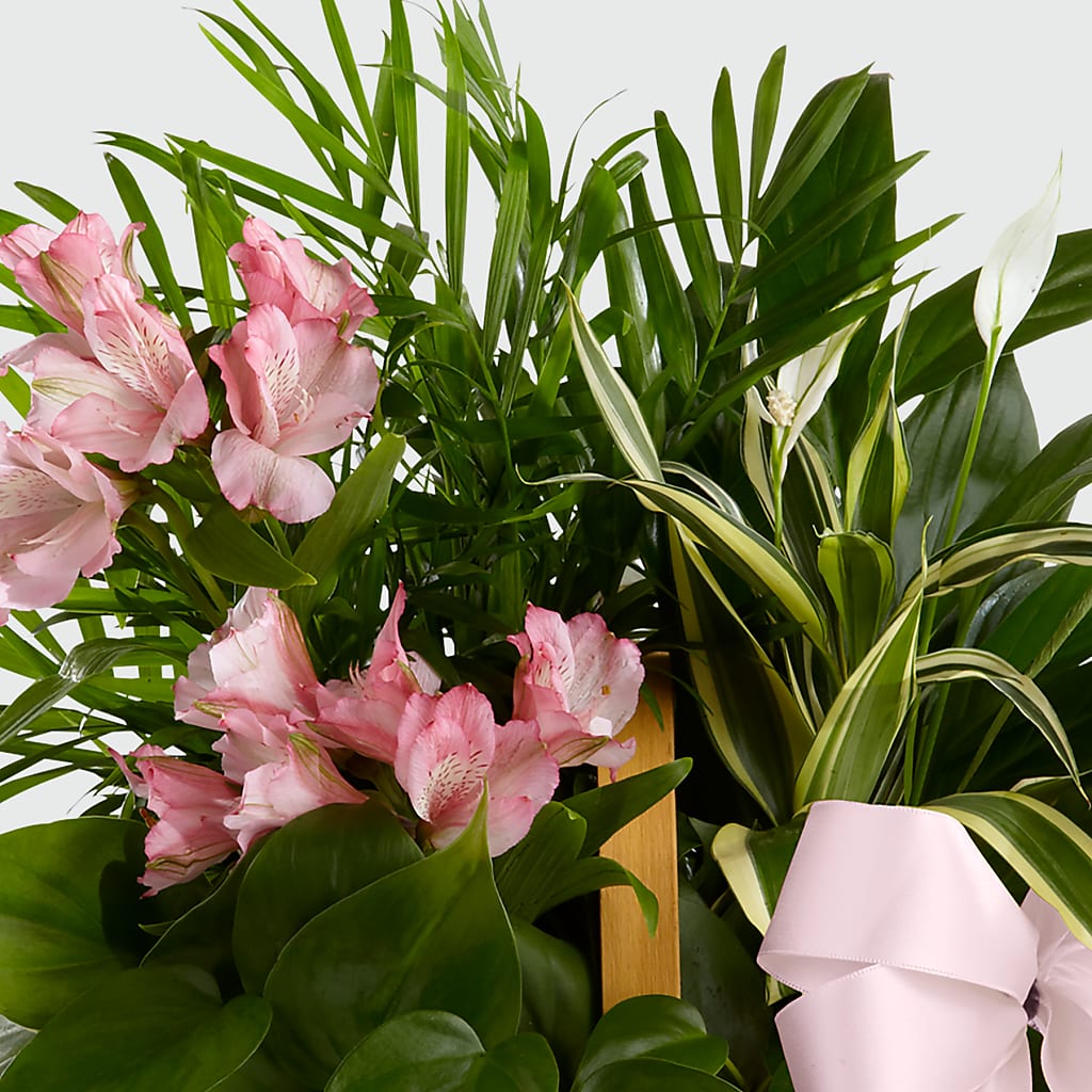 Living Spirit Dishgarden –  Corner Flowers, Brooklyn NY