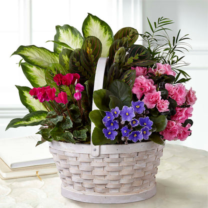 Peaceful Garden Planter –  Corner Flowers, Brooklyn NY
