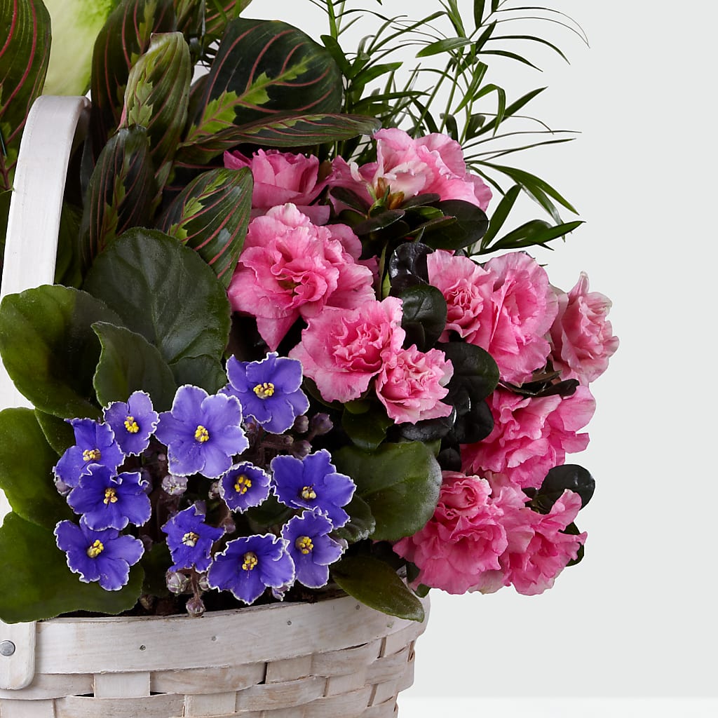 Peaceful Garden Planter –  Corner Flowers, Brooklyn NY