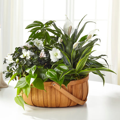 Serene Dishgarden –  Corner Flowers, Brooklyn NY
