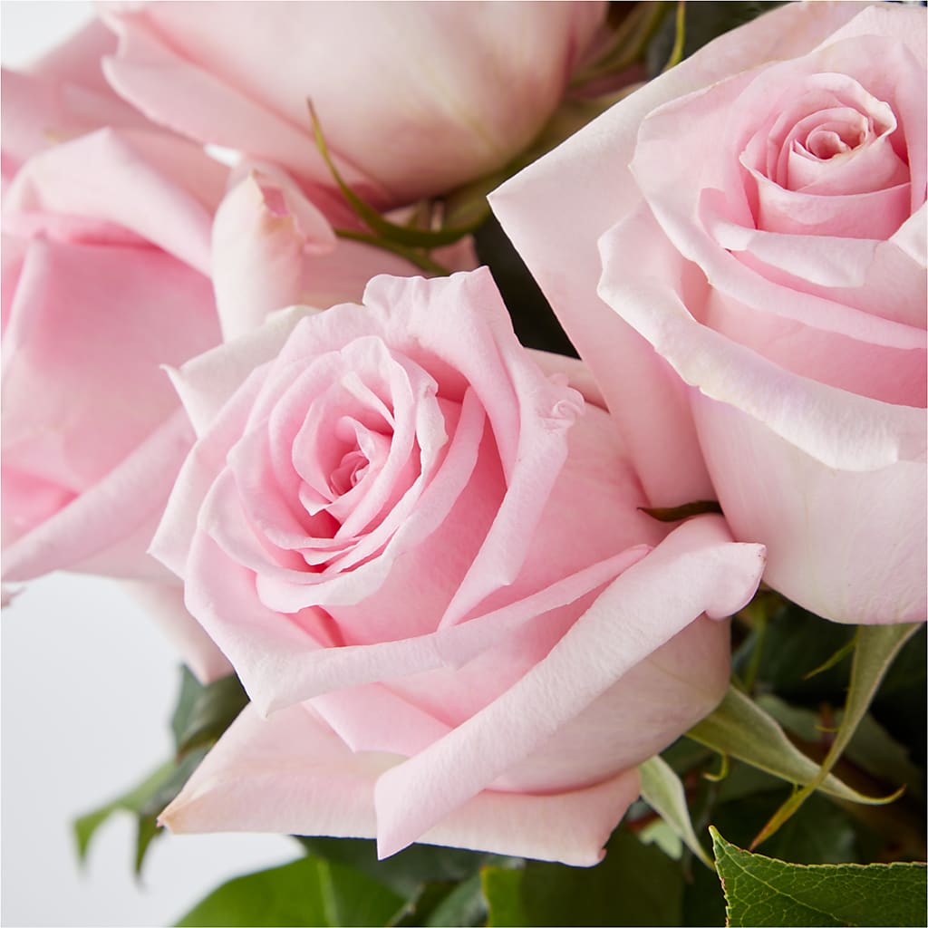 Picture Perfect Pink Rose Bouquet –  Corner Flowers, Brooklyn NY