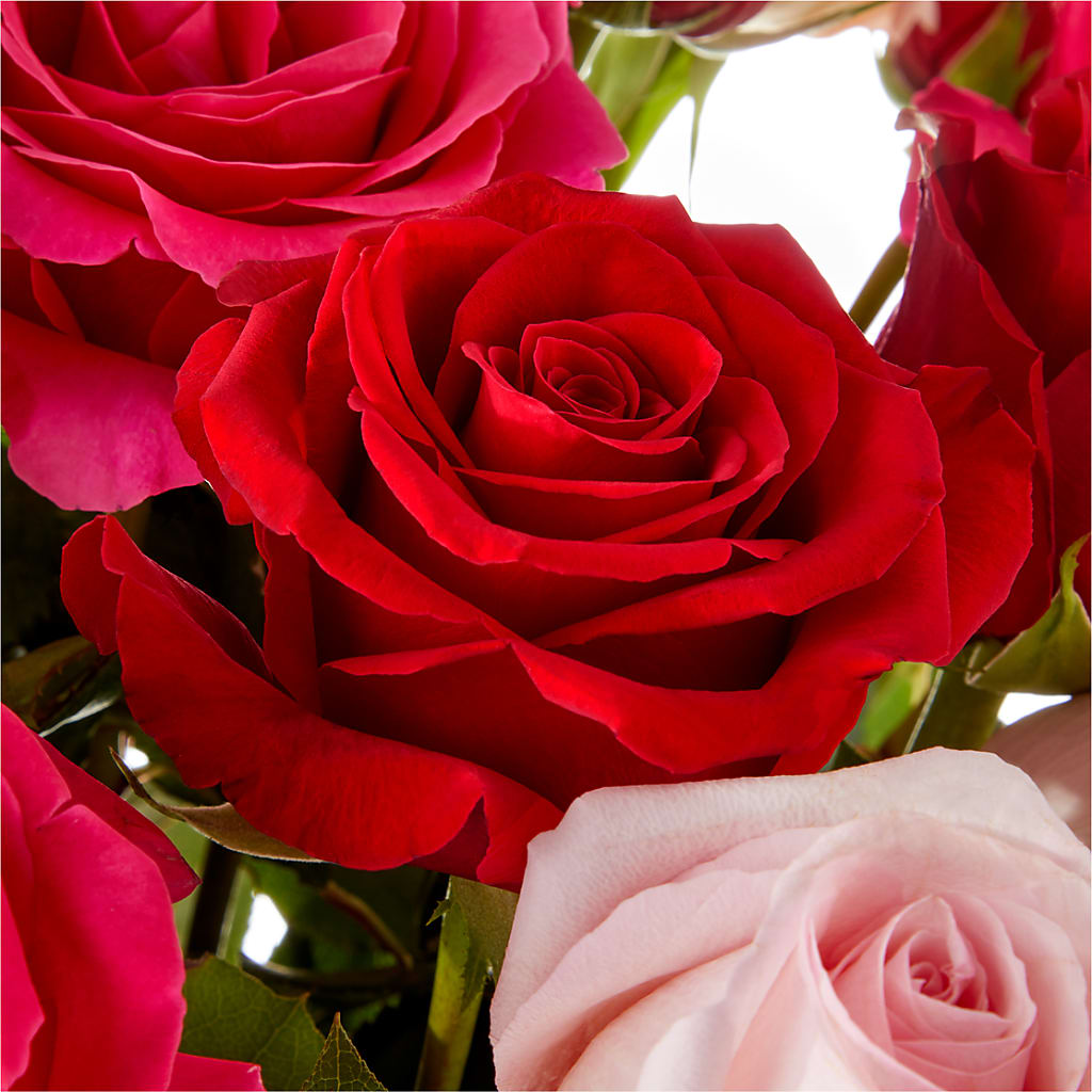 Love Notes Rose Bouquet –  Corner Flowers, Brooklyn NY