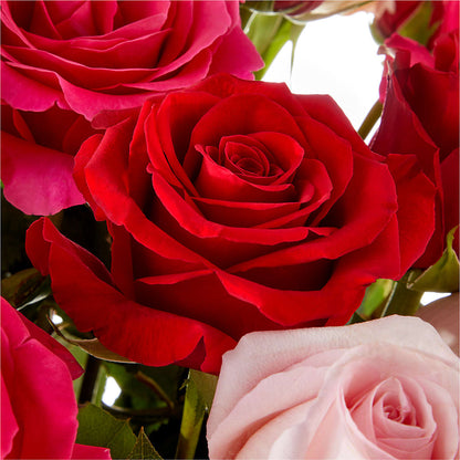 Love Notes Rose Bouquet –  Corner Flowers, Brooklyn NY