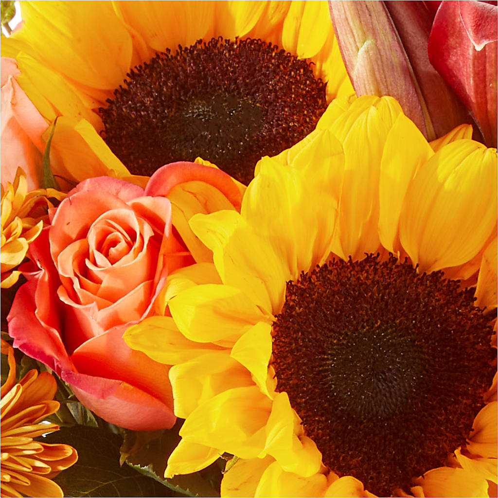 Acorn Lane Bouquet –  Corner Flowers, Brooklyn NY