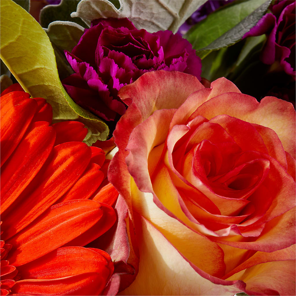 Sangria Bouquet –  Corner Flowers, Brooklyn NY