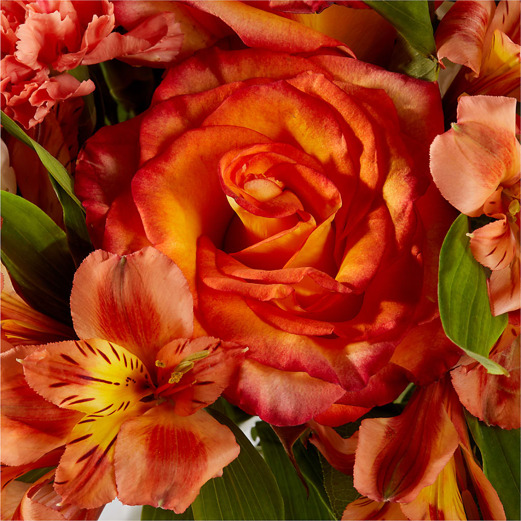 Apricot Glow Bouquet –  Corner Flowers, Brooklyn NY
