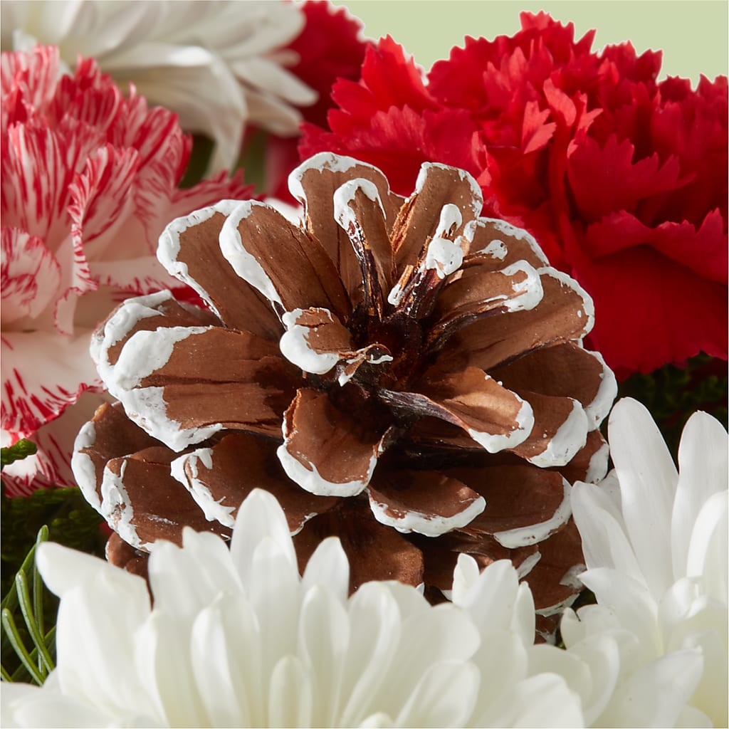 Candy Cane Lane Bouquet –  Corner Flowers, Brooklyn NY