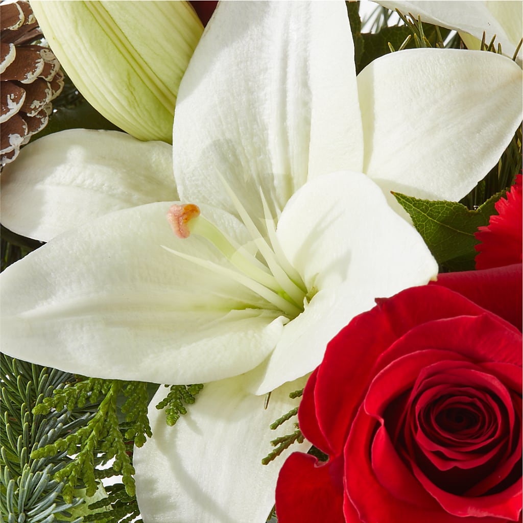 Oh So Jolly Bouquet –  Corner Flowers, Brooklyn NY