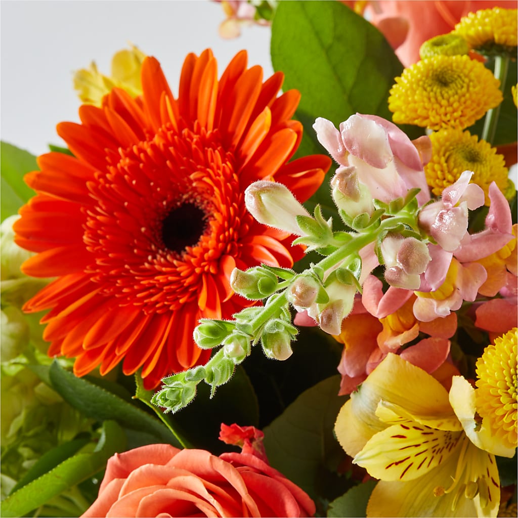 Autumn Sunshine Bouquet –  Corner Flowers, Brooklyn NY