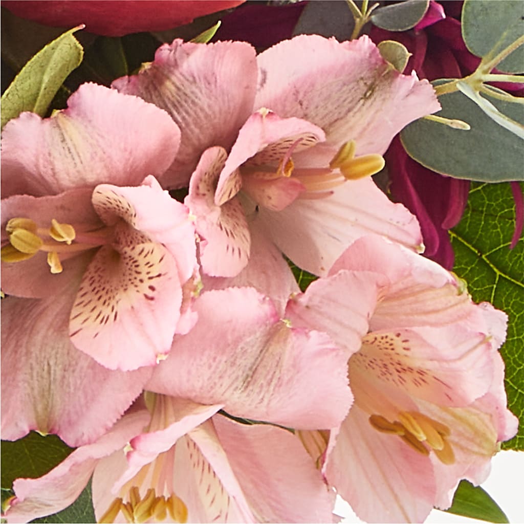 Berry Cobbler Bouquet –  Corner Flowers, Brooklyn NY