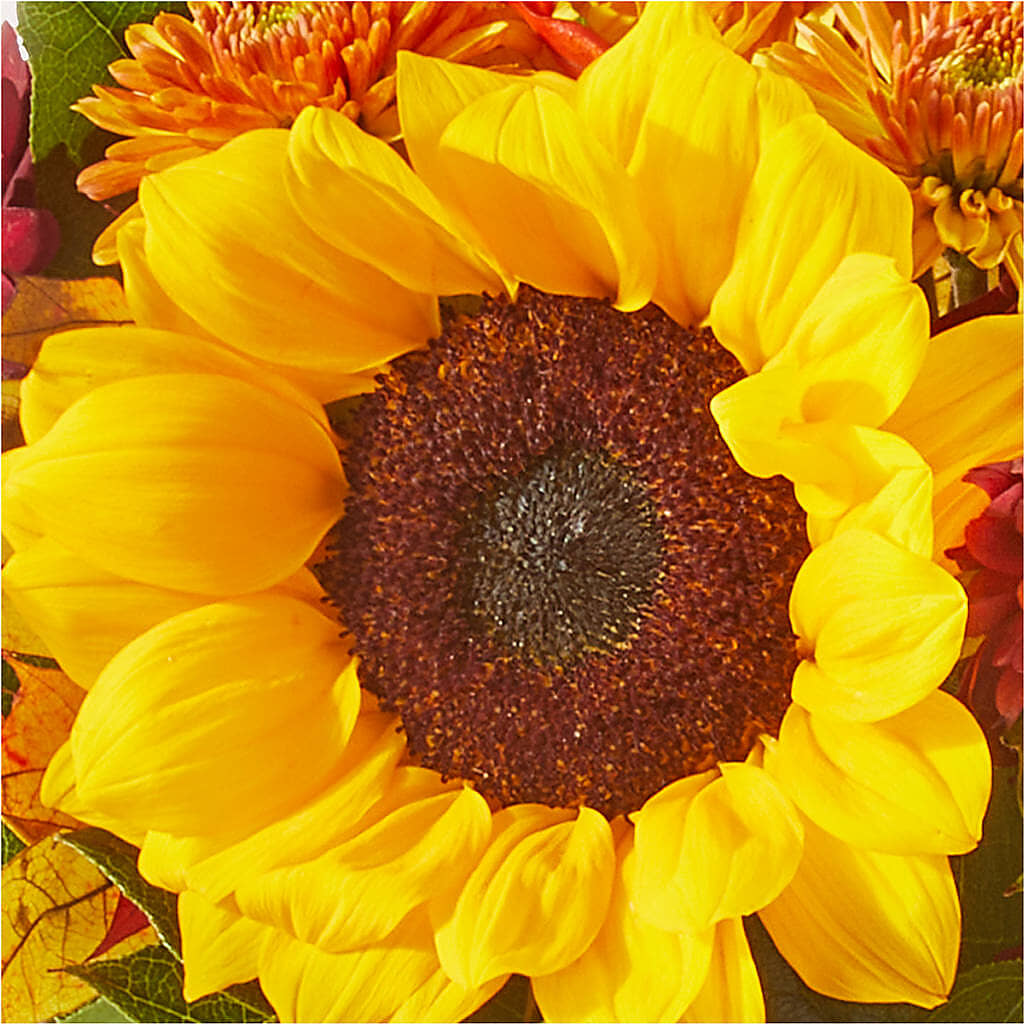 Sunny Side Bouquet –  Corner Flowers, Brooklyn NY