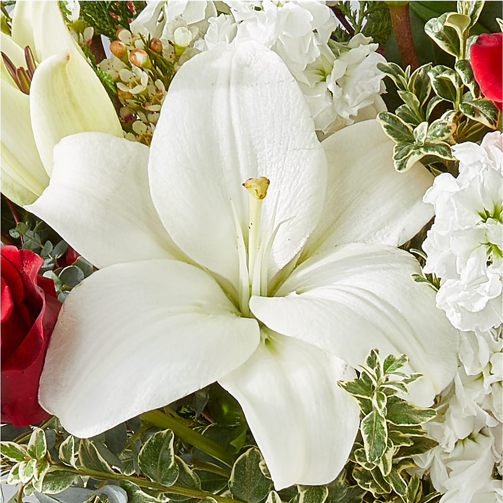 Twinkle Lights Bouquet –  Corner Flowers, Brooklyn NY
