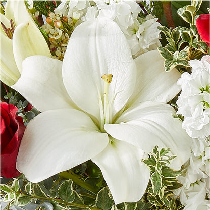 Twinkle Lights Bouquet –  Corner Flowers, Brooklyn NY