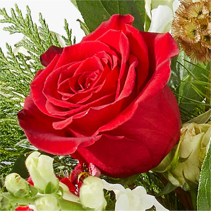 Deck the Halls Bouquet –  Corner Flowers, Brooklyn NY